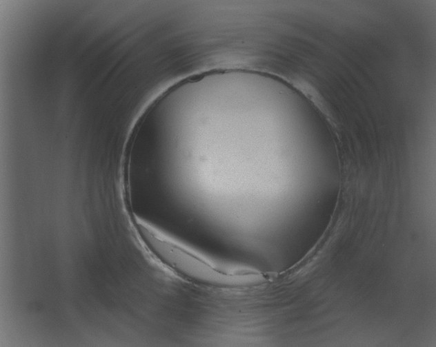 X0000067530904200604211840