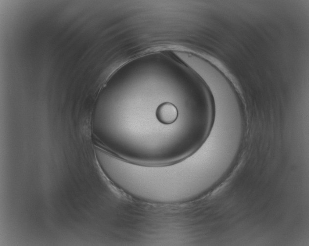 X0000067530905200604211840