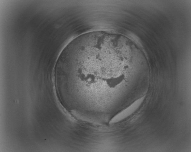 X0000067530907200604211840