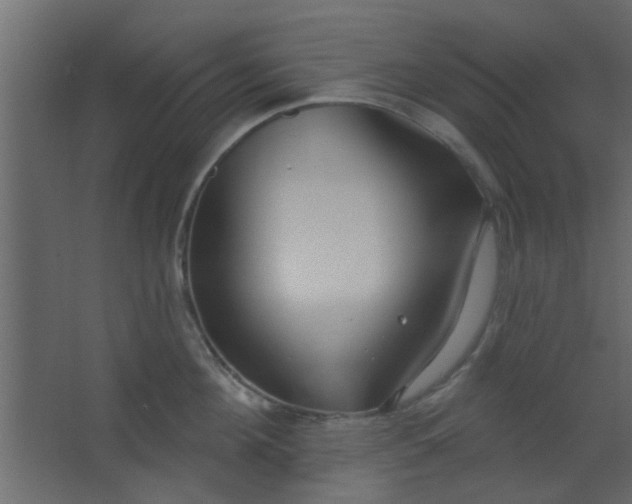 X0000067530908200604211840