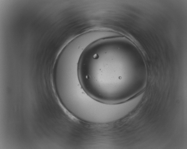 X0000067530909200604211840