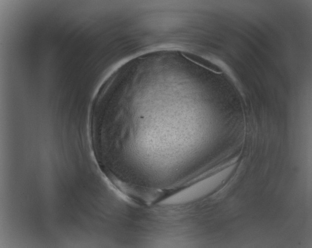 X0000067530910200604211840