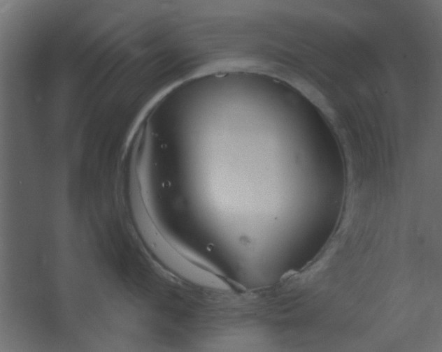 X0000067530912200604211840