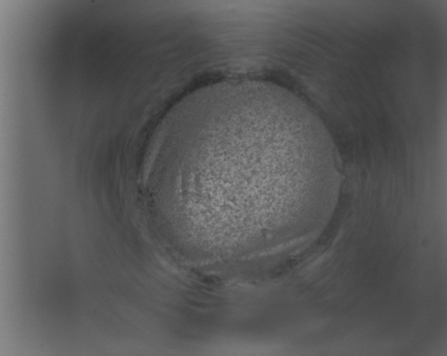 X0000067530913200604211839