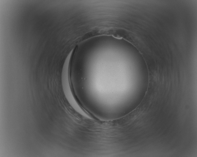 X0000067530914200604211839