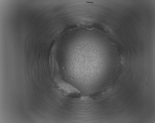 X0000067530915200604211839