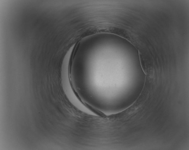 X0000067530916200604211839