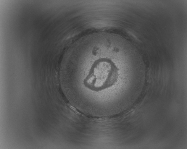 X0000067530917200604211839