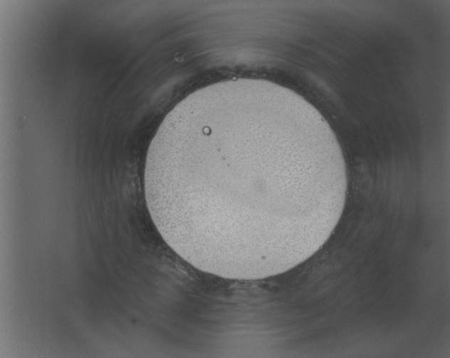 X0000067530918200604211839