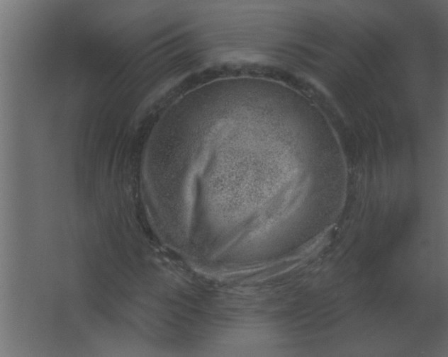 X0000067530919200604211839