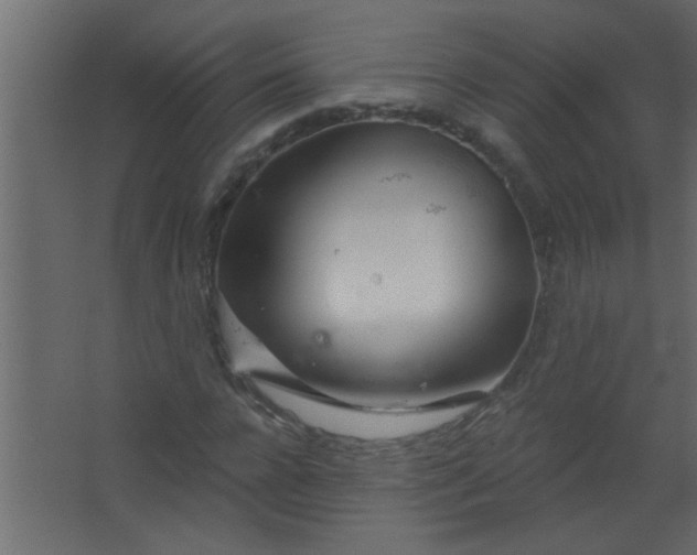 X0000067530920200604211839