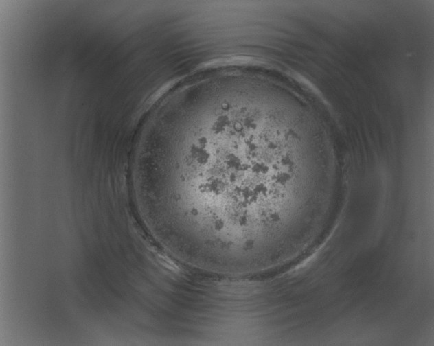 X0000067530921200604211839