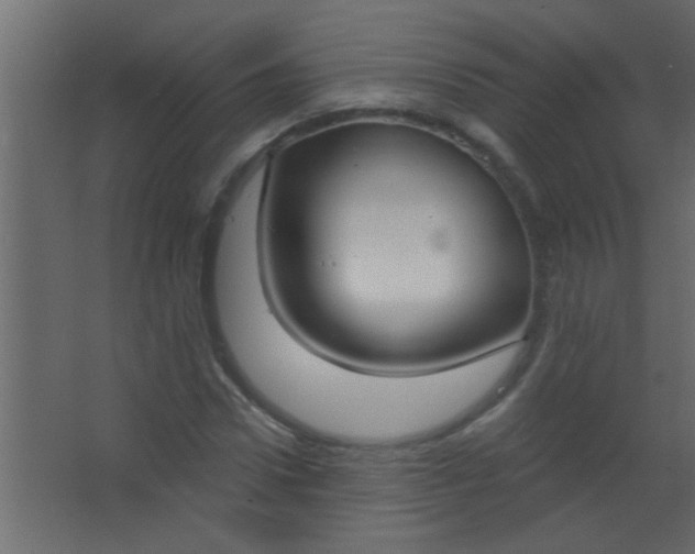 X0000067530922200604211839