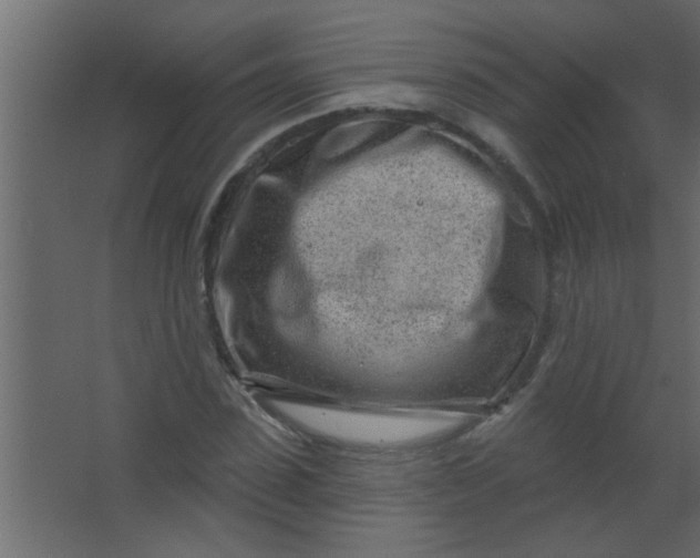 X0000067530923200604211840