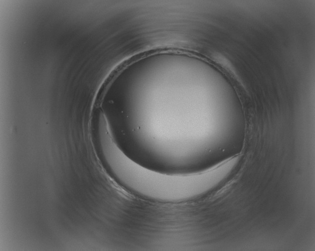 X0000067530924200604211840