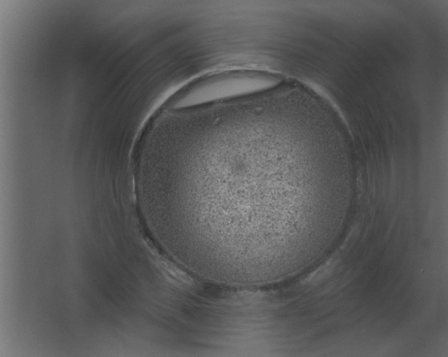 X0000067530925200604211840