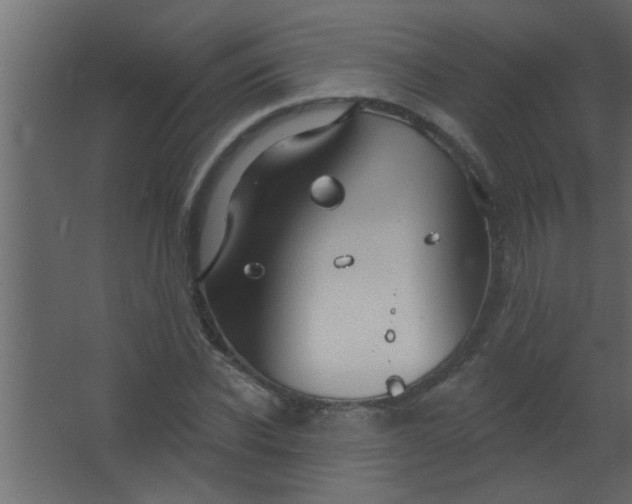 X0000067530926200604211840