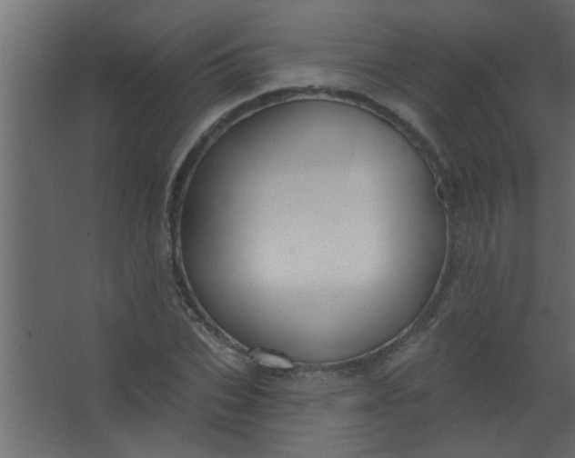 X0000067530927200604211840