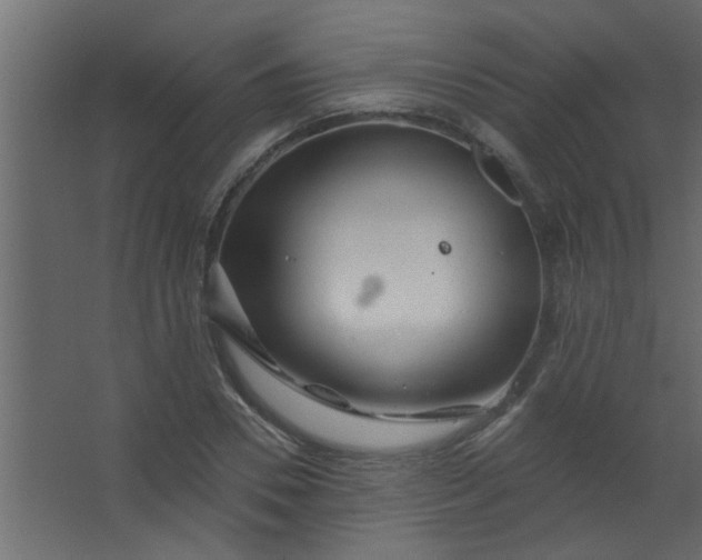 X0000067530930200604211840