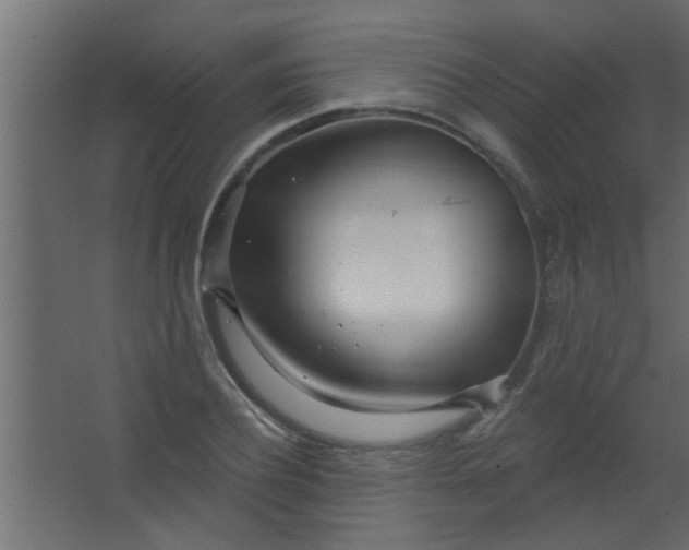 X0000067530932200604211840