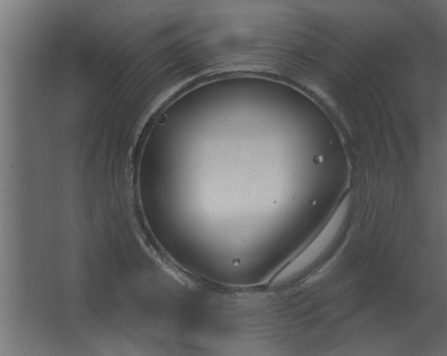 X0000067530933200604211840