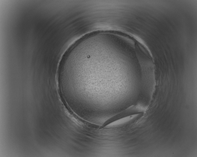 X0000067530935200604211840