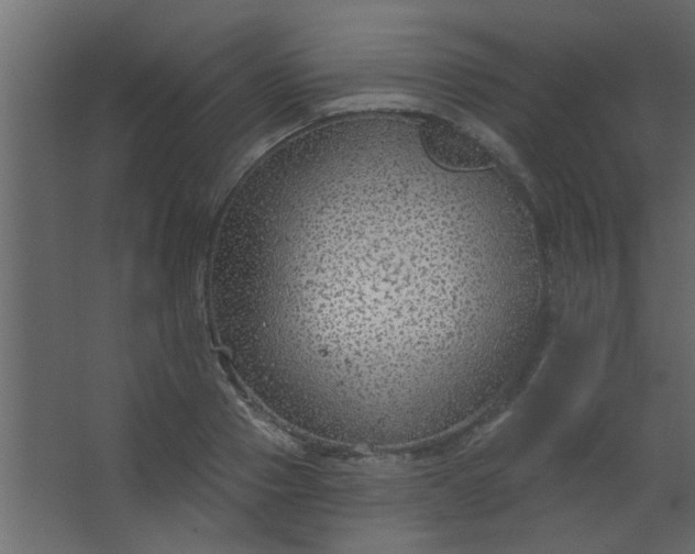 X0000067530937200604211840