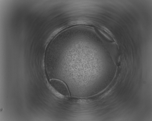 X0000067530938200604211840