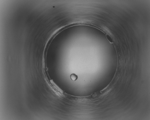 X0000067530940200604211840