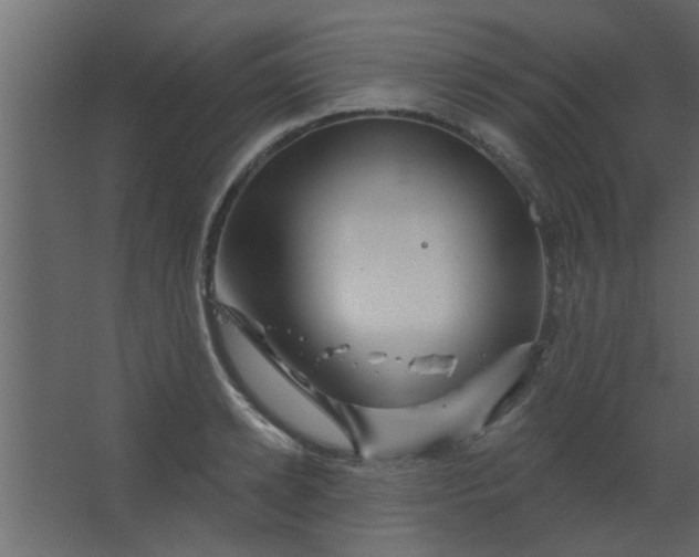 X0000067530942200604211840