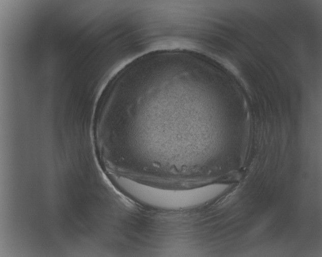 X0000067530943200604211840