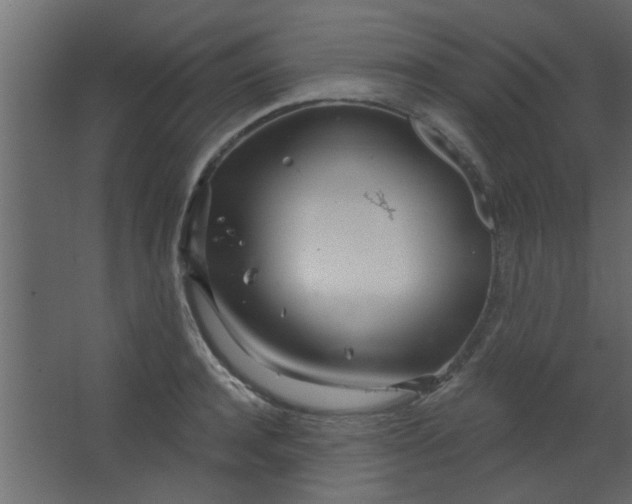 X0000067530944200604211840