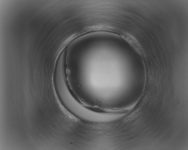 X0000067530946200604211840