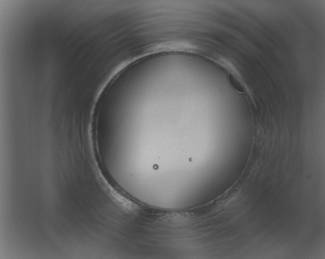 X0000067530947200604211840