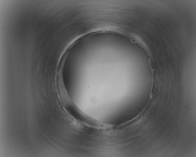 X0000067530948200604211840