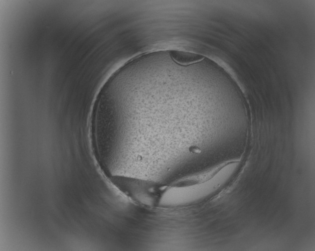 X0000067530949200604211840