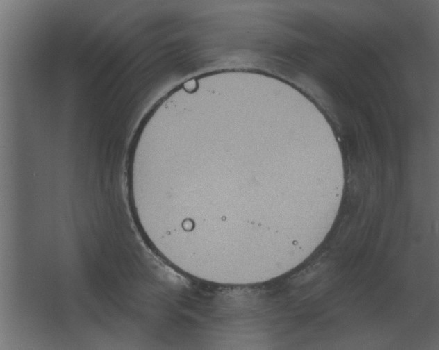 X0000067530950200604211840