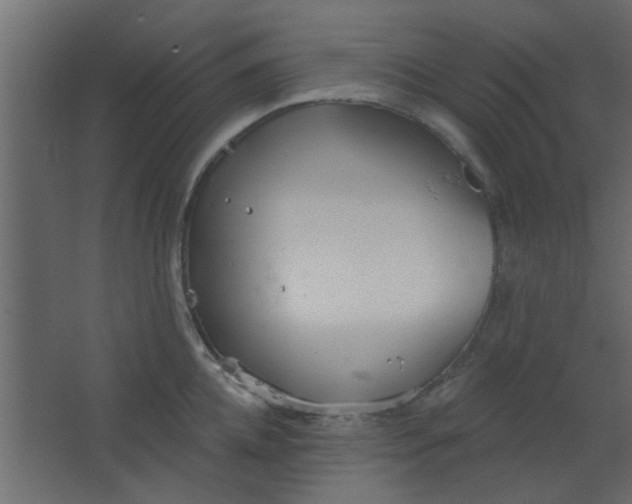 X0000067530952200604211840