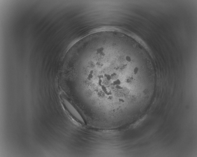 X0000067530953200604211840