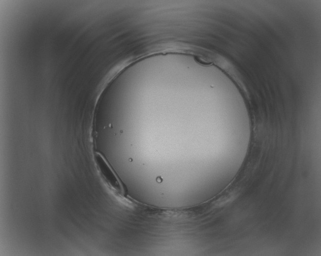 X0000067530954200604211840