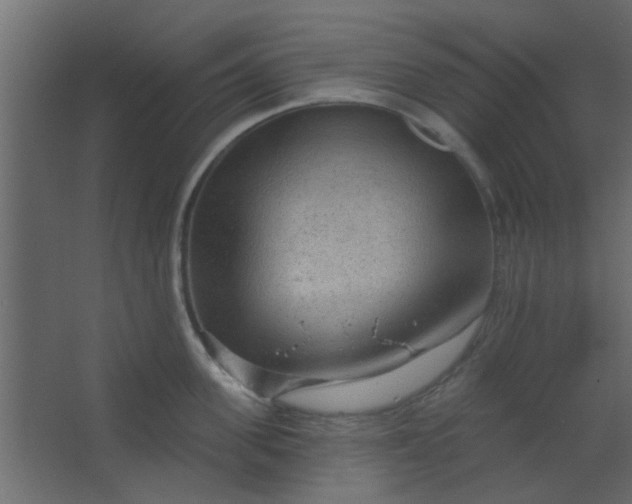 X0000067530955200604211840