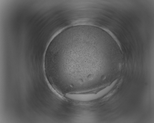 X0000067530957200604211840