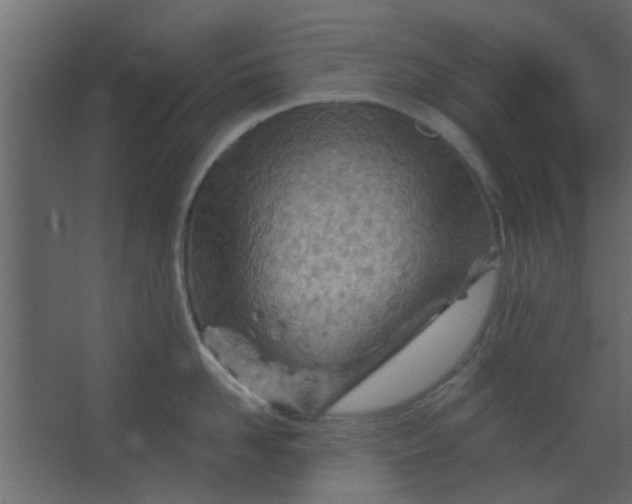 X0000067530958200604211840