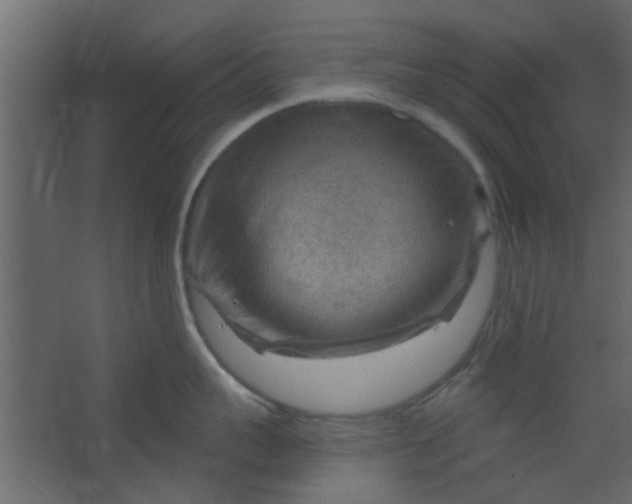 X0000067530959200604211840