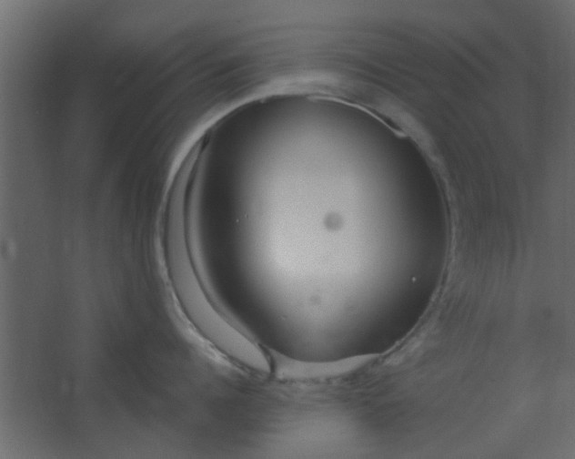 X0000067530960200604211840