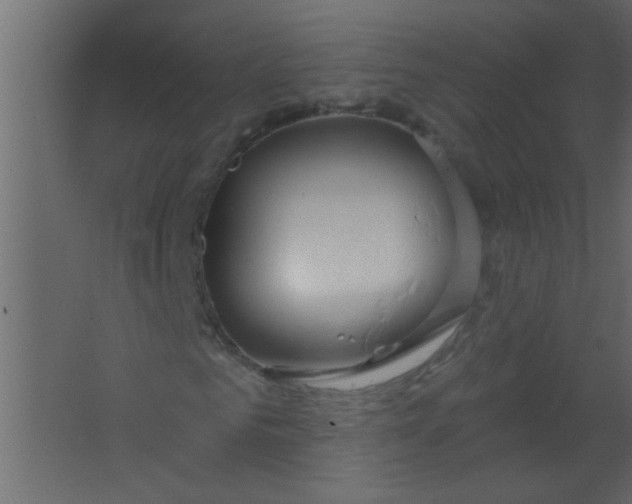 X0000067530961200604211839