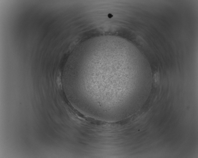 X0000067530963200604211839