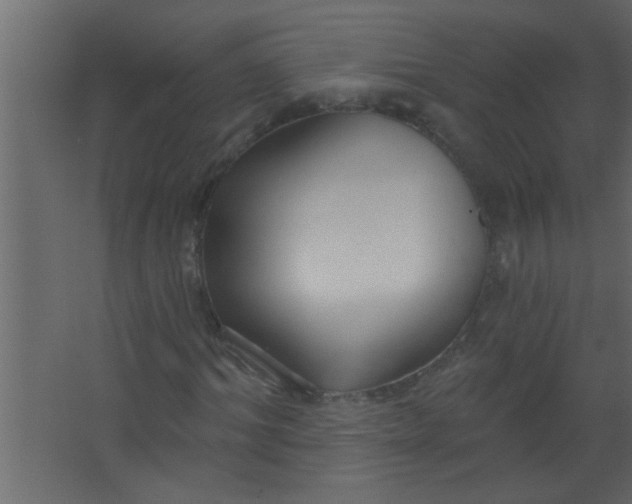 X0000067530964200604211839