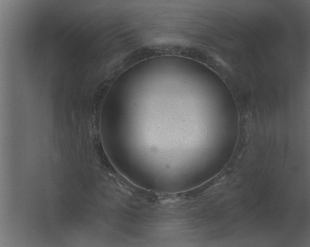 X0000067530965200604211839