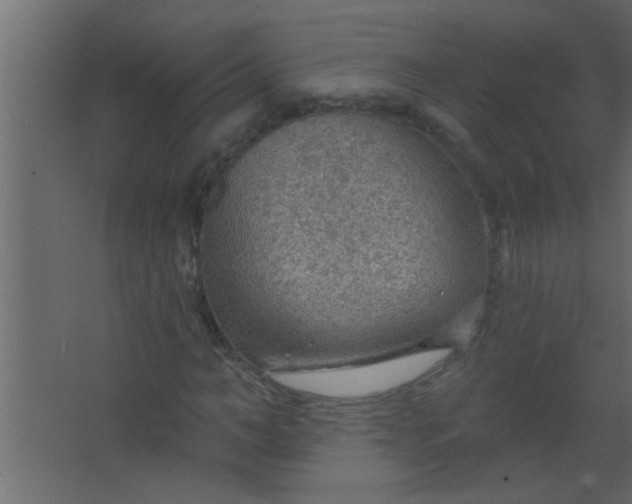 X0000067530966200604211839